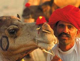 Tour del Rajasthan con Taj Mahal