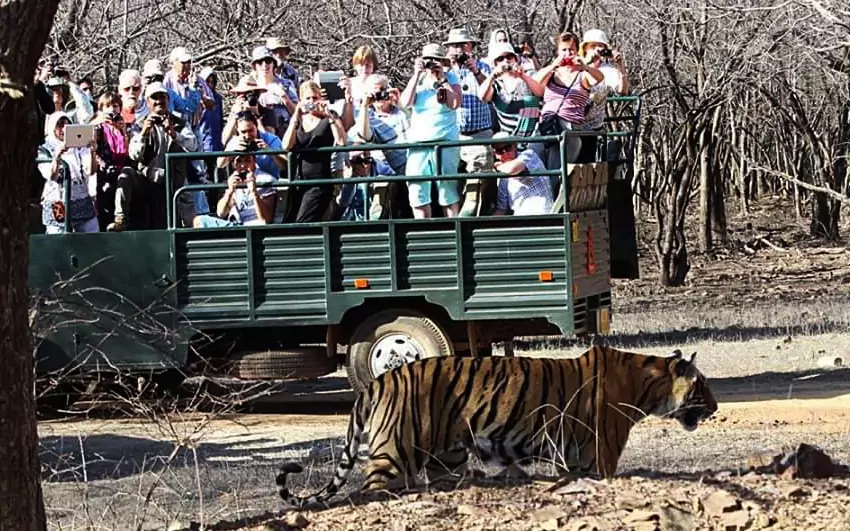 Golden Triangle Tour with Tiger Safari