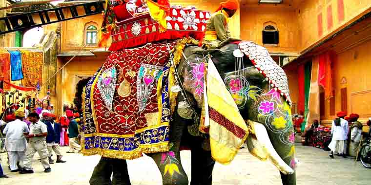Tour del Rajasthan Reale