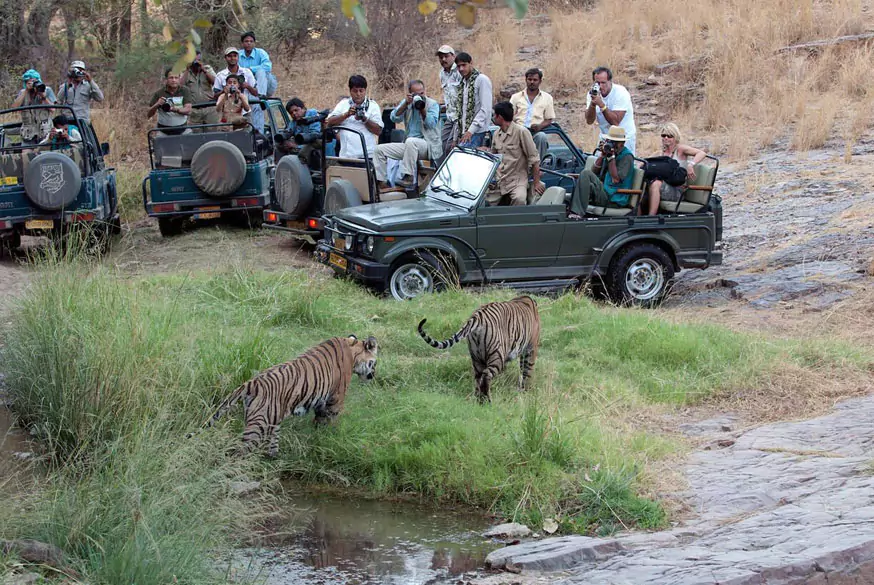 Golden Triangle Tour with Ranthambore
