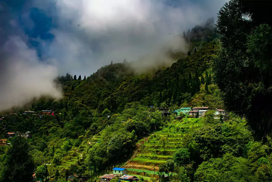 Assam Meghalaya Tour