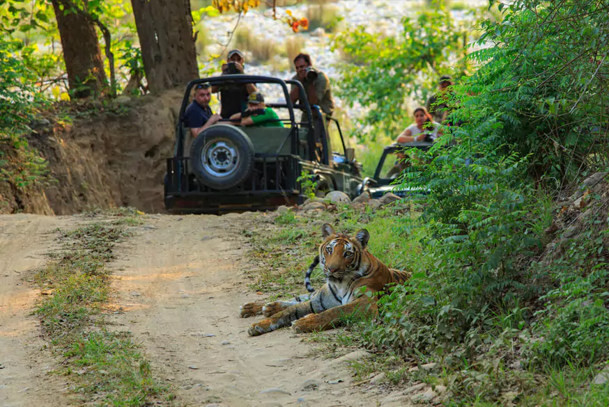 Jim Corbett 3 Day Trip From Delhi