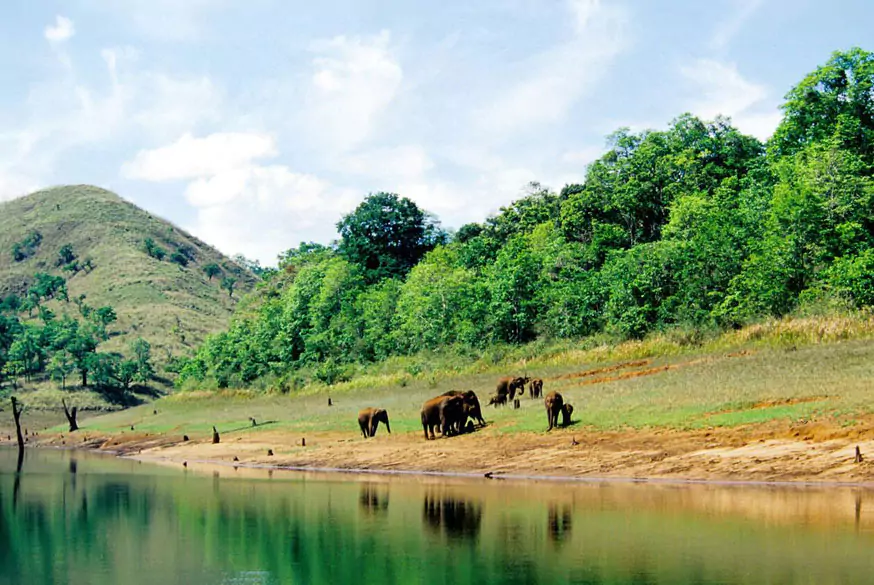 Kochi Munnar Thekkady Kumarakom Tour