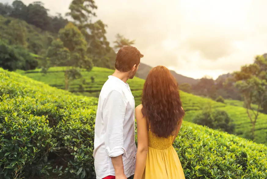 Romantic Kerala Honeymoon Tour
