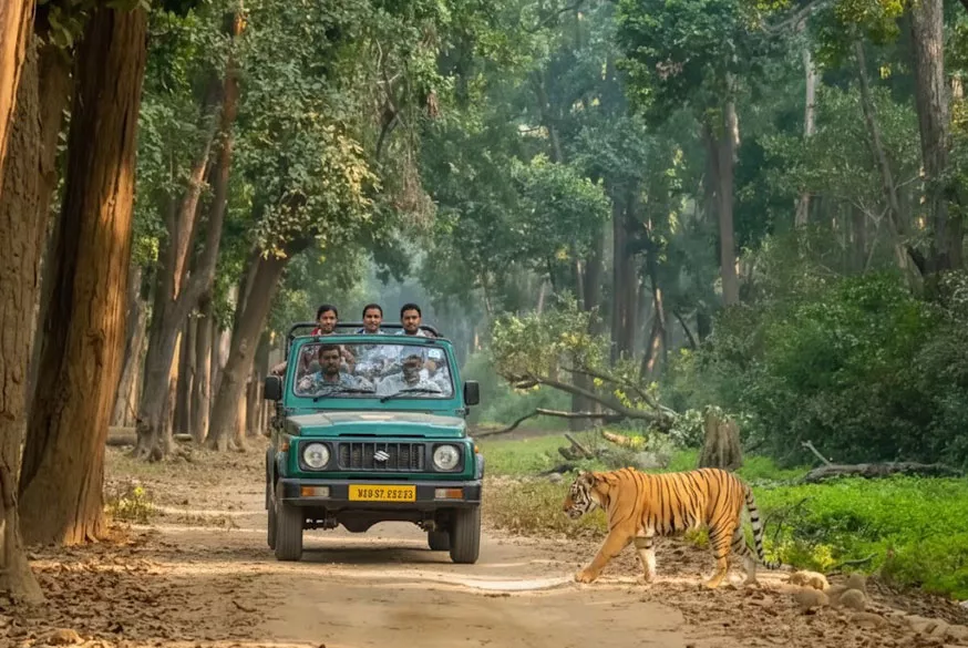 Jim Corbett Nainital Tour from Delhi